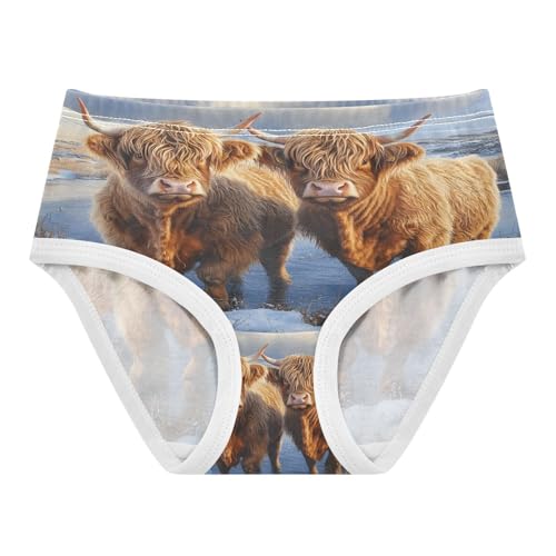 Two Highland Cows Winter Snow Toddler Girls's Underwear 2T 202b8621