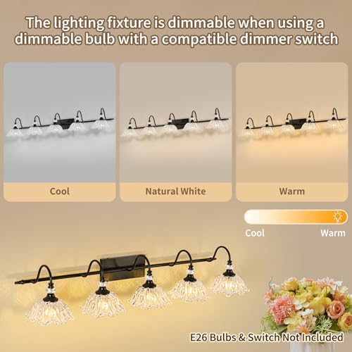Image of Black Bathroom Vanity Light, 5-Light Vanity Light with Crystal Glass Shades, Vintage Farmhouse Vanity Lighting for Bathroom and Dressing Table