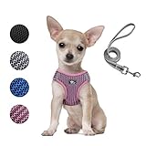 Dog and Cat Universal Harness with Leash - Cat Harness Escape Proof - Adjustable Reflective Step in Dog Harness for Small Dogs Medium Dogs - Soft Mesh Comfort Fit No Pull No Choke, Pink, XS
