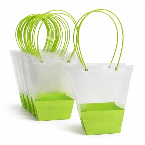 Image of OasisTransparent Gift Bag 10pcs, Foldable, Empty, Decorative, Reusable, 30x35 cm, Multipurpose Birthday, Anniversary, Wedding, Return Gifts Hamper Packaging (Dual Green)