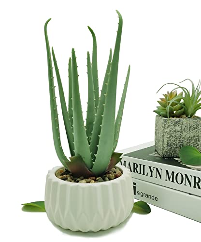 Suntimber Artificial Fake Plant Decor,Aloe Faux Plants In Elegant Ceramic Pot For Bathroom Shelf Decor, Desk Plant For Home & Office Decor - Artificial Fake Succulent Potted #TOP6