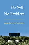 No Self, No Problem: Awakening to Our True Nature