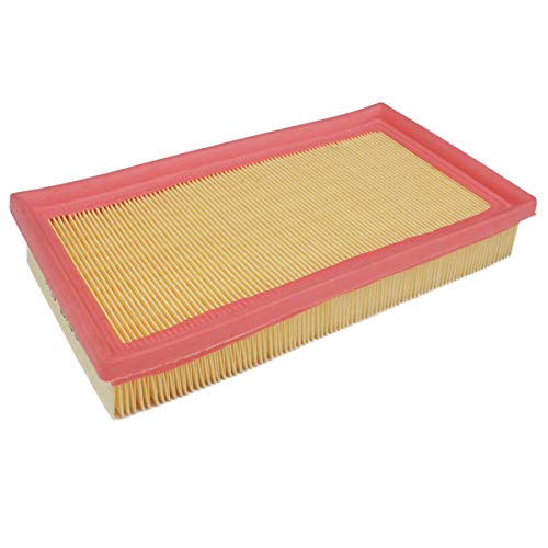 Filtro dell'aria per Focus DAW, DBW + Turnier DNW