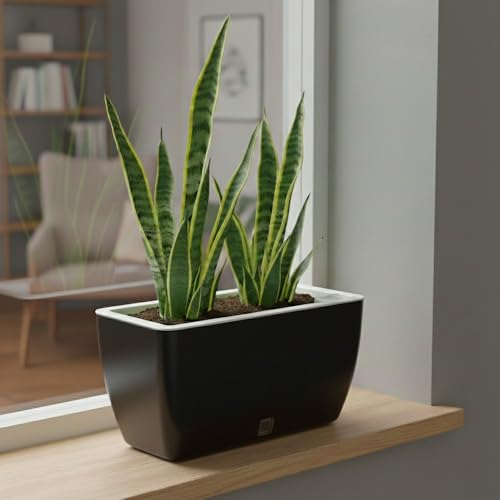 Image of GARDENCIA Self Watering Flower Pots for Outdoor Indoor Gardening /Rectangle Big Plant Pot with Polypropylene UV Material /Decorative Modern Gamla (Recta Big Black, Pack of 4)