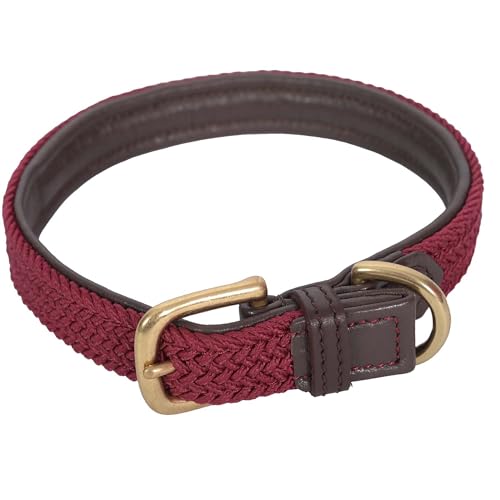 Collier pour chiens WeatherBeeta résistant et ajustable taille 2XL