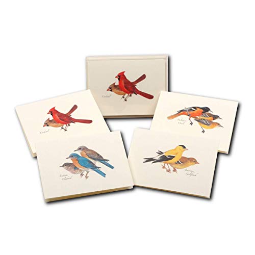 Earth Sky + Water - Peterson’s Bird Assortment I Notecard Se T- 8 Blank Cards With Envelopes (2 Each Of 4 Styles) #TOP7