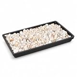 Brussel's 8" Humidity Tray with Decorative Rocks