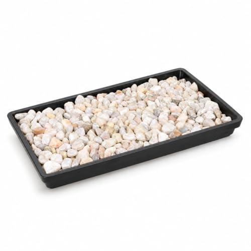 8-inch Humidity Tray with Decorative Rocks