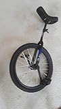 SUN BICYCLES Unicycle Classic 20 Inch Black/Black