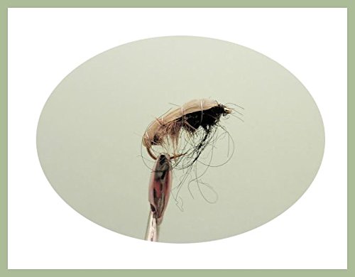 Lot De 6 Mouches Nymphes JCC 31 - Integral Pêche