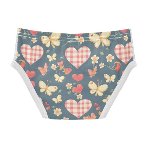 Wusikd Gingham Hearts Boys' Underwear Cotton Butterflies Boys Briefs Soft Toddler Underwear 2T2