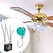Baoblaze Ceiling Fan Switch Accessory Professional Wall Lamp,Cbb61 Capacitor Replacement 3 Speeds 5 Wire Pull Chain Switch Control, Silver Chain