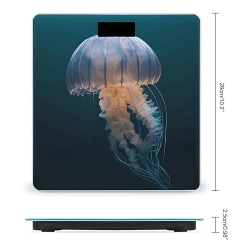 Báscula digital de baño con vidrio templado y pantalla LCD miniatura 2