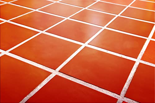 PASO - Limpiador de juntas - Limpia las juntas y parades de manera inmediata - 500ML