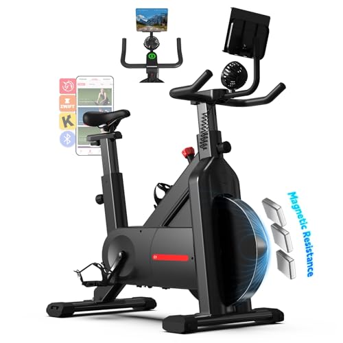 YESOUL Exercise Bike for Home, Self Powered Fan Stationary Bike