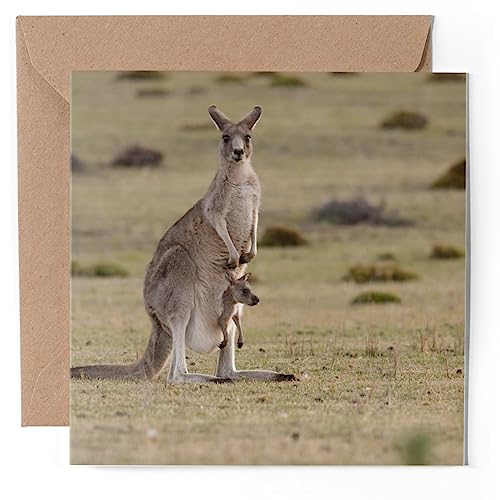 Image of 1 x Greeting Card - Forester Kangaroo Mum Baby Australia - Blank Birthday Celebration Anniversary #50923