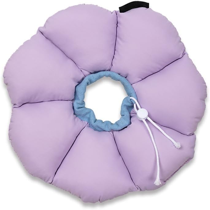 骨盤矯正法 SPAT』『SPAT 頸椎・胸椎編』セットDVD DVD】SPAT 〔頚椎