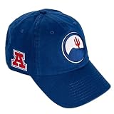 Desert Cactus University of Arizona Embroidered Baseball Hat (J1 Vintage)