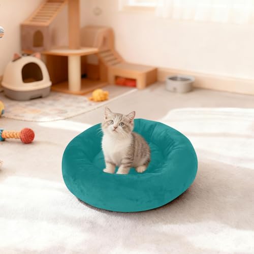 Panier d'hiver lavable bleu sarcelle taille S pour petit chien - 4