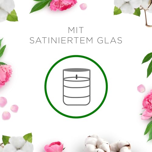 Air Wick Wohlfühl-Duftkerze im Glas – Duft: Cotton Flower Dream – Je bis zu 20 Stunden Brenndauer – Enthält natürliche ätherische Öle – 6 x 105 g Duftkerzenset