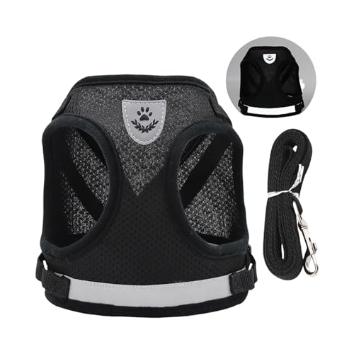 ˌn[lXʋClbgxXg^p[vtSȃfUCybgOEH[LOMAsɗDybgxXg