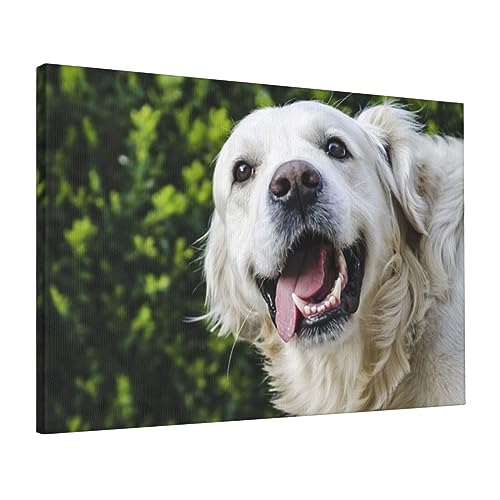 Toile amusante Golden Retriever OUSIKA, l'art joyeux pour chambre