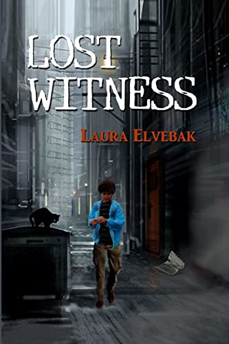 Lost Witness (Niki Alexander Mysteries)