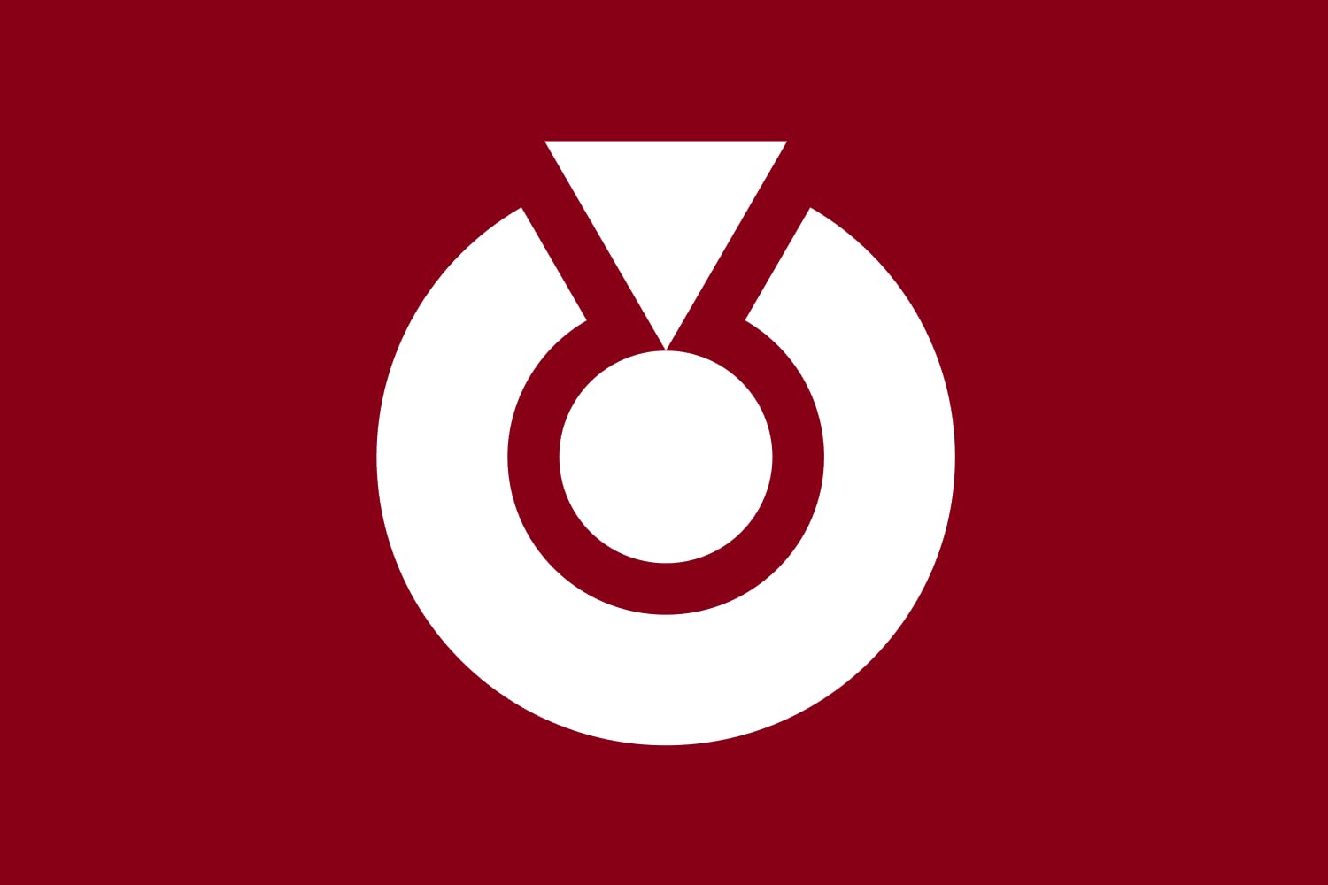 Drapeau Large Shirahama Wakayama habillez facilement un grand mur vide avec style