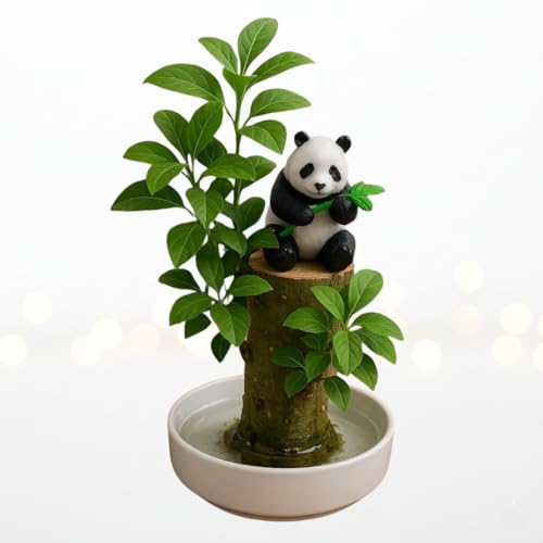 Lucky Money Desktop Tree with Water Tray and Panda Figurine
