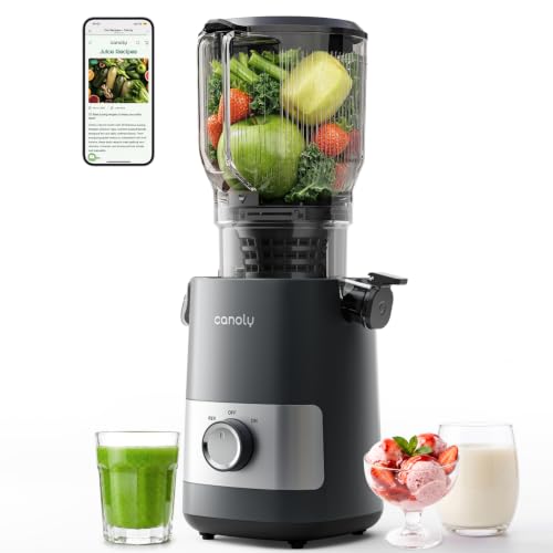 Image of Canoly 3-in-1 Cold Press Juicer C07, Makes Juice & Sorbet & Nut Milk