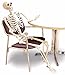 Forum Novelties 5' Posable Skeleton Party Decoration