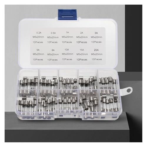 100 unidades Kit de fusibles de tubo de vidrio variados Amp 0.2A-20A Acción rápida 250V Pack surtido con caja de almacenamiento miniatura 2