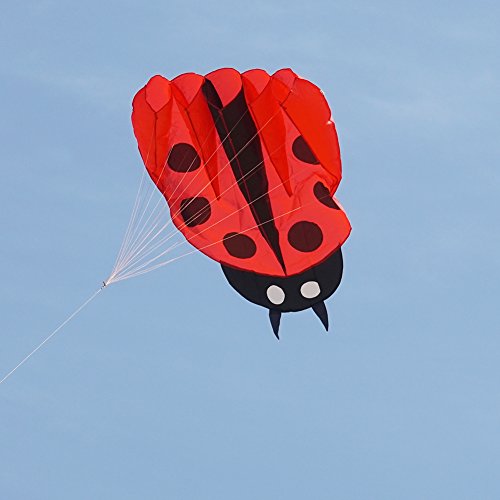 Besra Colorful Ladybug Kite With Handle & Strings Ladybird Parafoil Kite Easy To Fly Outdoor Fun Sports For Kids & Adults (Red) #TOP3