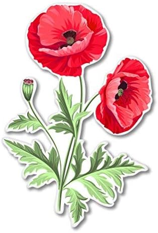 Amazon.com - Carframes18 Poppies Vinyl Sticker - Car Window Bumper ...