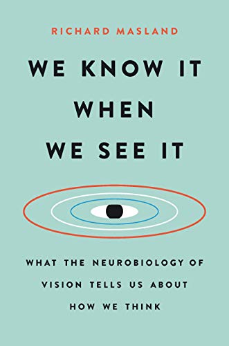 We Know It When We See It: What the Neurobiology of Vision Tells Us About How We Think