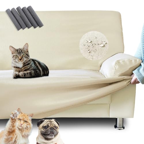 bN \t@[Jo[ L΍ 3l|p It nCobN AC{[ St Œ_   h |炭炭 тɂ ΍ Xgb`