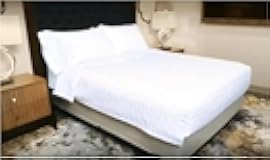 Manchester Mills Hampton Inn Mock Duvet Hotel King White 98x98 & Envirosleep King 8oz Down Alt Blanket 96x93
