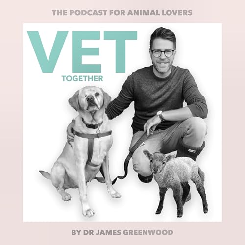 Vet Together cover art