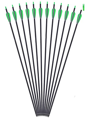 image for GPP Outdoors Carbon 30-Inch Arrows with Field Points Replaceable Tips 