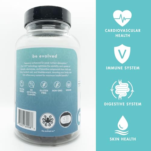 Perform Gummys - Irish Sea Moss - with Burdock Root & Bladderwrack for Natural Energy, Digestive & Immune Support - Delicious Berry Bliss, Vegan, 60 Count - Image 3