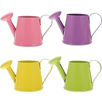 Toddmomy 4pcs Boy Girl Mini Metal Watering Can Ergonomic Design Durable Watering Kettle for Flowers and Plants Teaching Aid for Boys and Girls