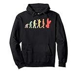 Retro Snowboard Evolution Geschenk für Snowboarder Pullover Hoodie