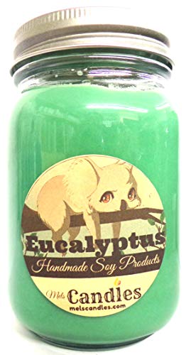 Eucalyptus -16Oz Country Jar All Natural Soy Candle Great For Lungs And Sinus Problems #TOP12