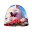 Dog Samoyed T