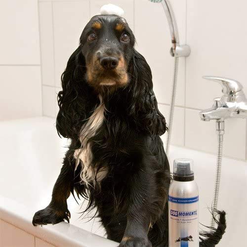 DogMoments Hundeshampoo Wellness mit Aloe Vera 500ml