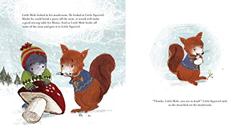 Little Mole\'s Christmas Gift