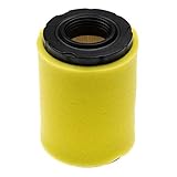 vhbw Set de filtros reemplaza Briggs & Stratton 590825, 1x filtro de aire