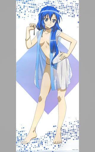 Amazon.co.jp: 戦姫絶唱シンフォギアXV 風鳴翼 等身大タペストリー