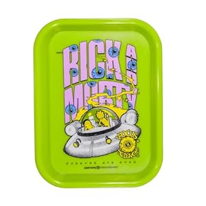 Tray Rick and Morty Original 27,5 x 17,5 cm