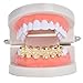 18K Gold Plated Skull Top Teeth Grillz – Hip Hop Mouth Grills Trendy Fashion Accessory for Parties, Streetwear, Cosplay(Gold)